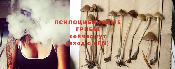 прущий лед Арсеньев
