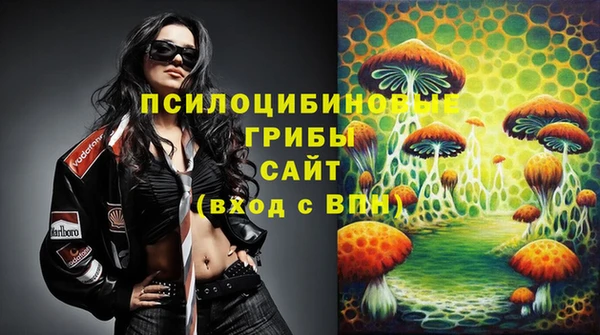 прущий лед Арсеньев