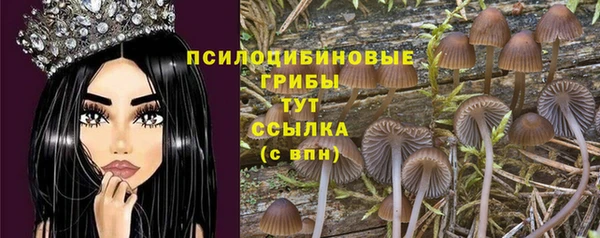 2c-b Аркадак