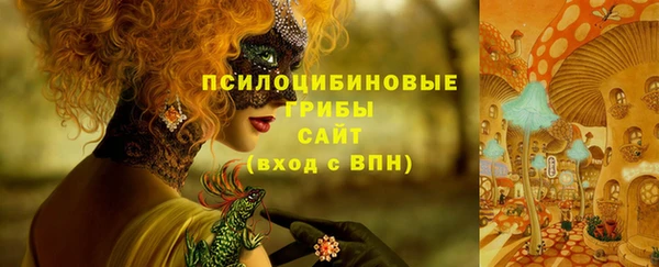 2c-b Аркадак
