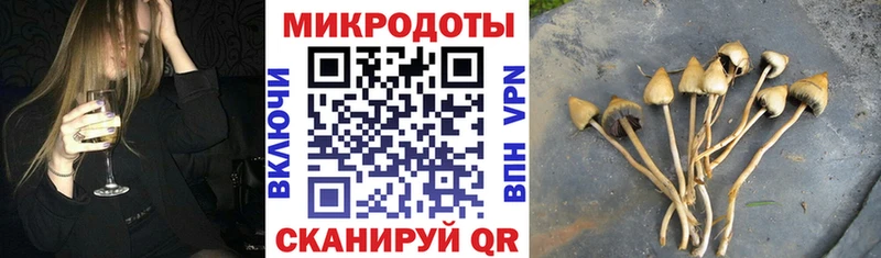 где можно купить наркотик  Светогорск  shop клад  Галлюциногенные грибы Psilocybine cubensis 